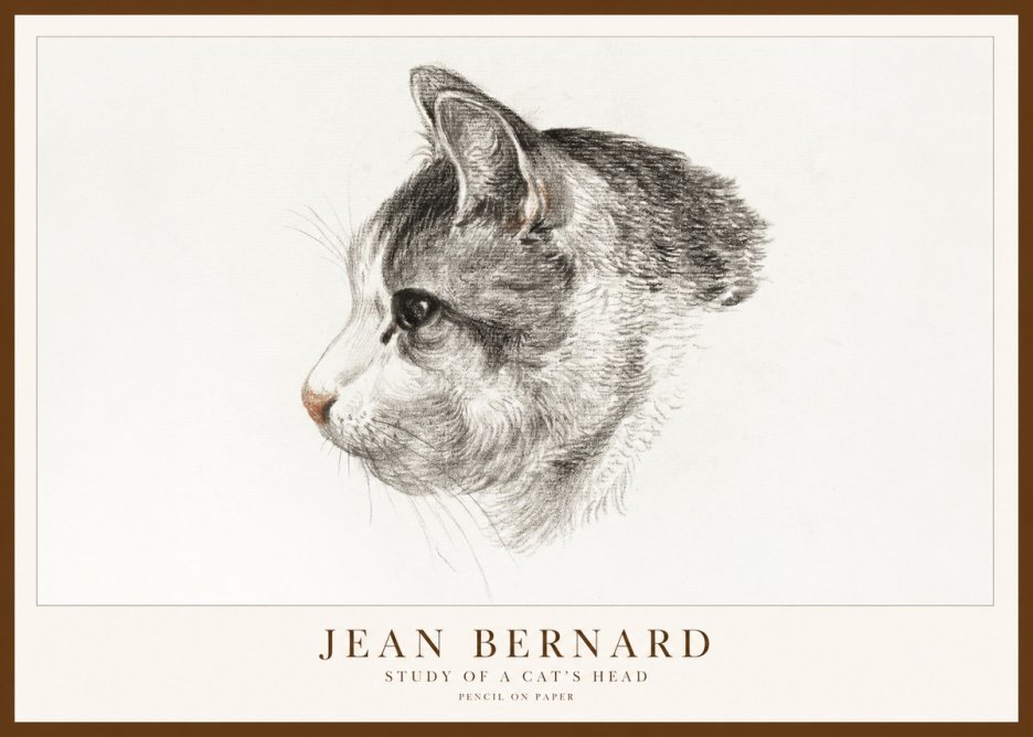 Jean Bernard Cat Study, Profile No2 - Poszter