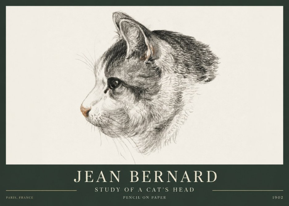 Jean Bernard Cat Study, Profile No4 - Poszter