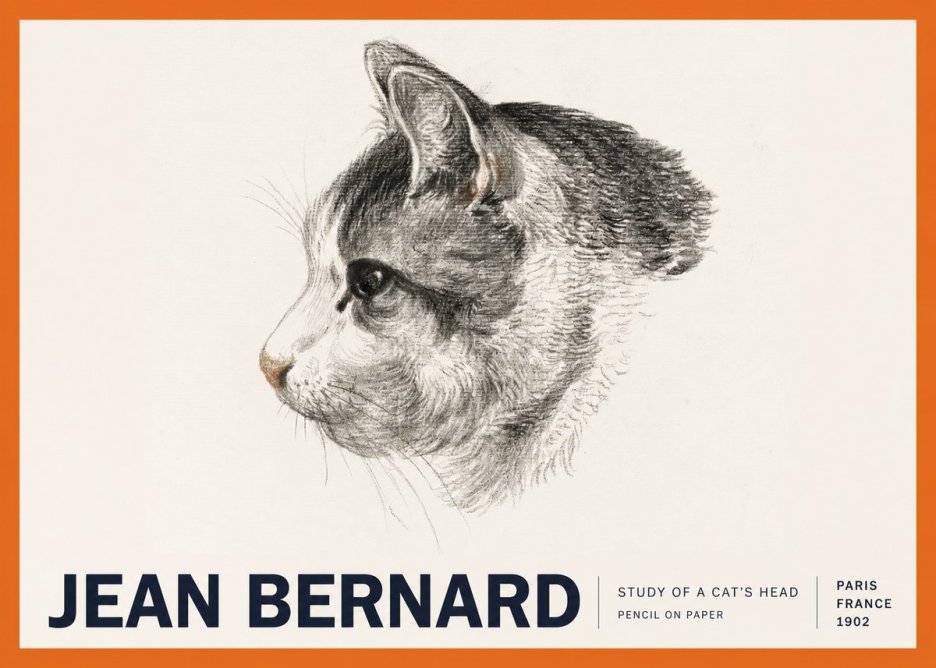 Jean Bernard Cat Study, Profile No6 - Poszter