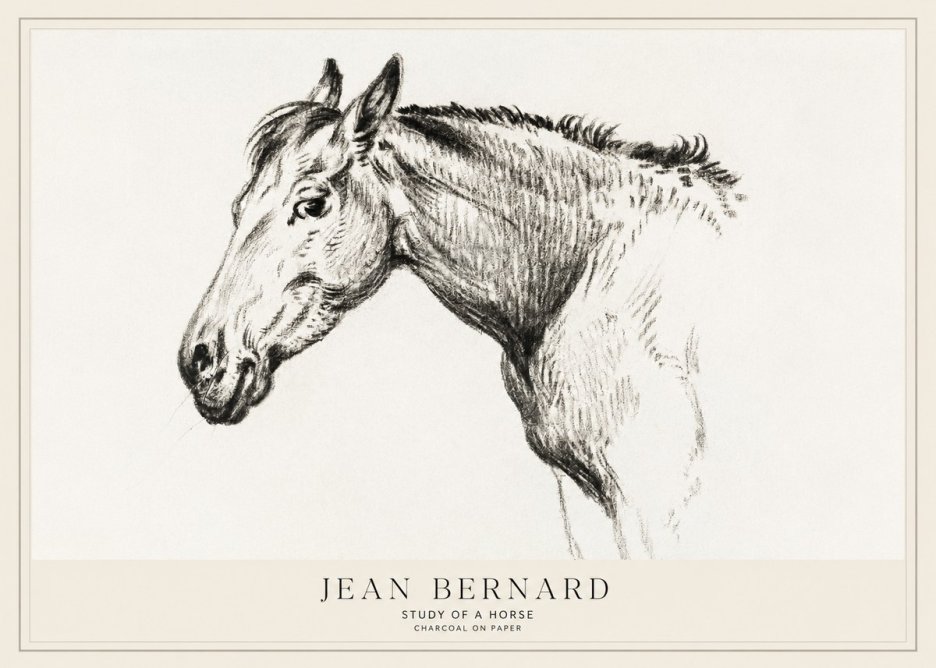 Jean Bernard Study of a Horse VI No1 - Poszter