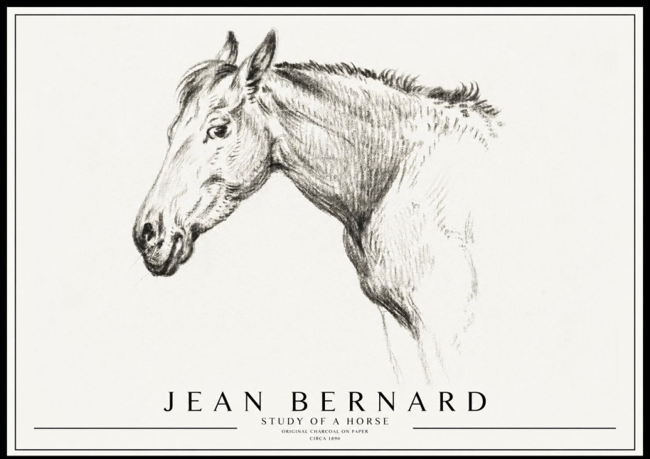 Jean Bernard Study of a Horse VI No3 - Poszter
