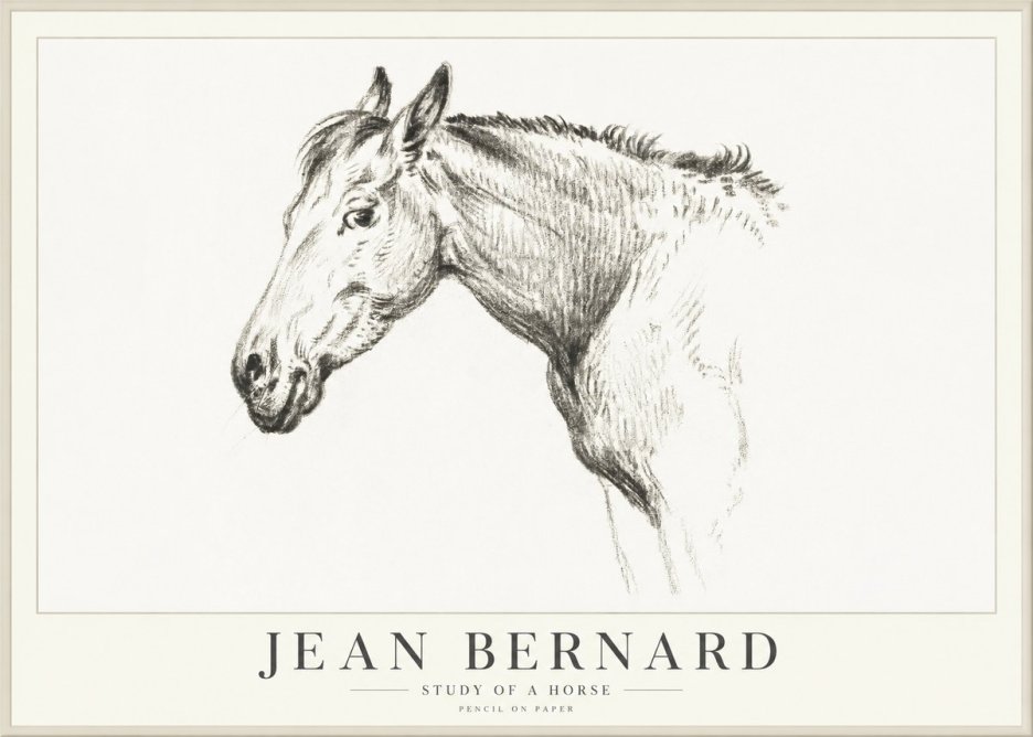 Jean Bernard Study of a Horse VI No4 - Poszter