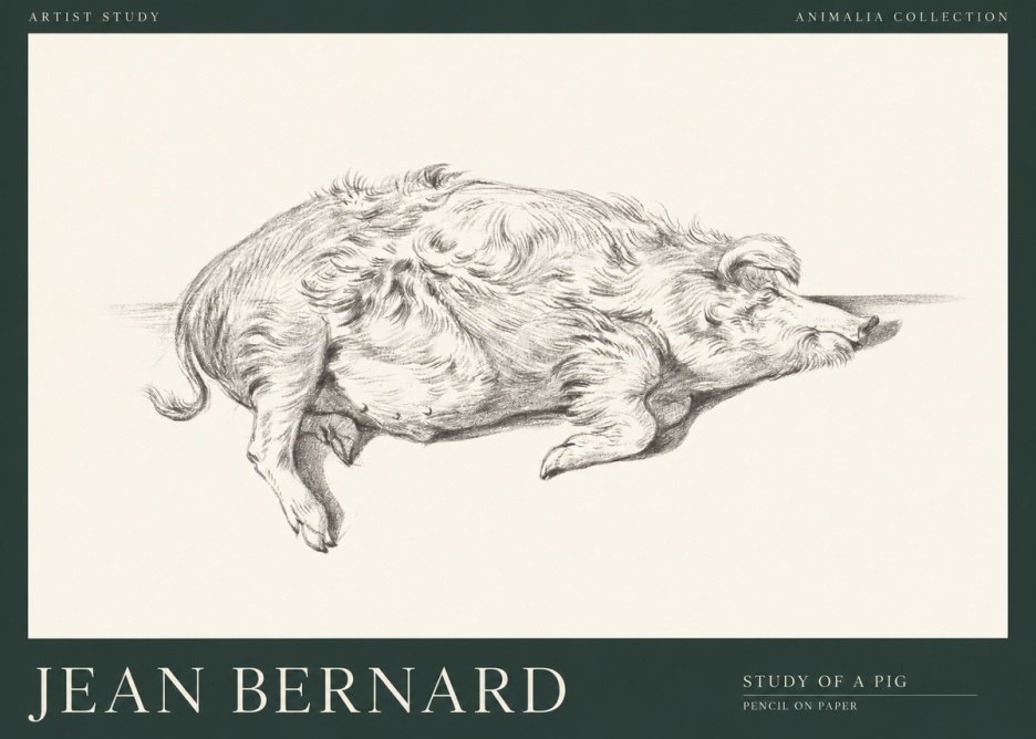 Jean Bernard Study of a Pig I No1 - Poszter
