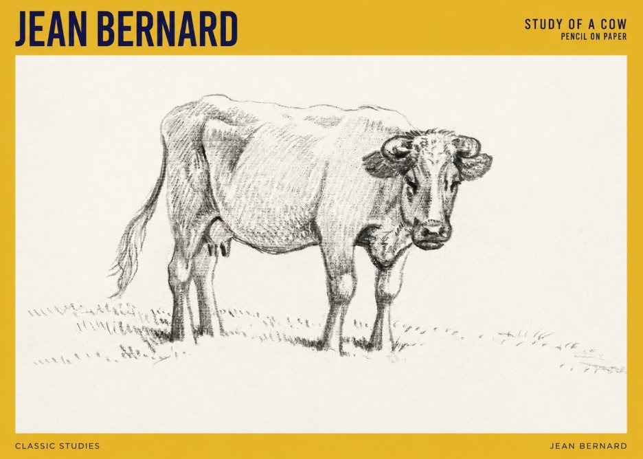 Jean Bernard Study of a Cow V No4 - Poszter