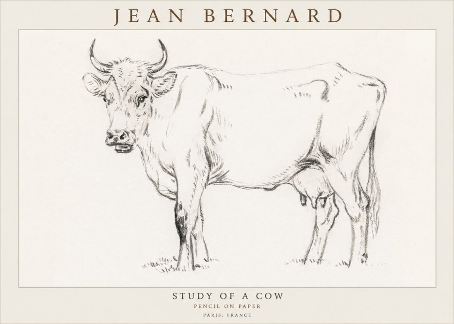 Jean Bernard Study of a Cow VI No3 - Poszter
