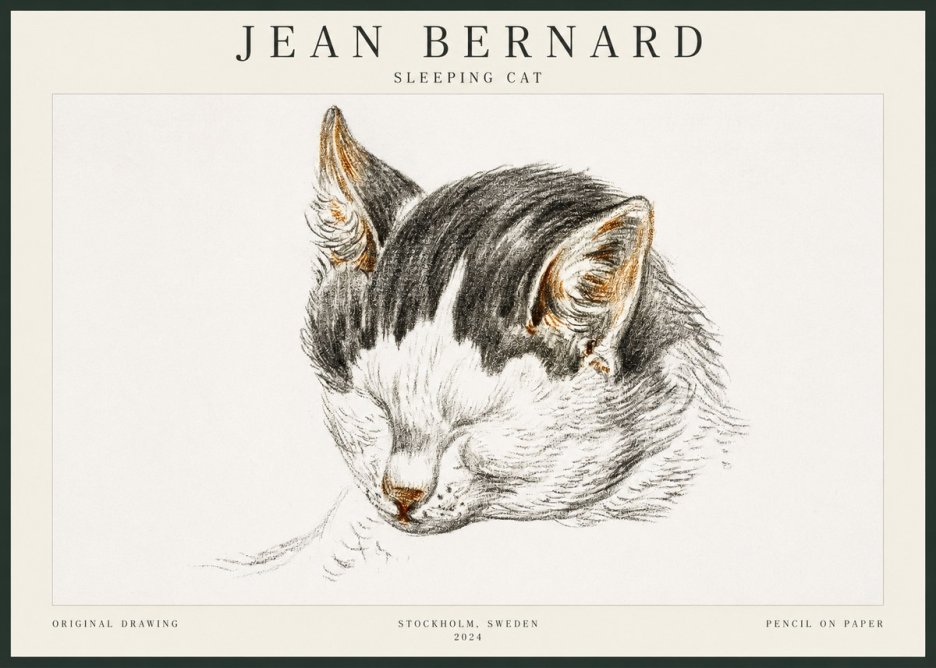 Jean Bernard Sleeping Cat V No3 - Poszter