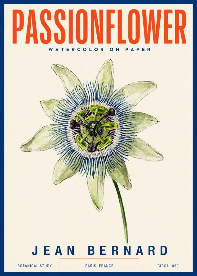 Jean Bernard Passionflower No4 - Poszter