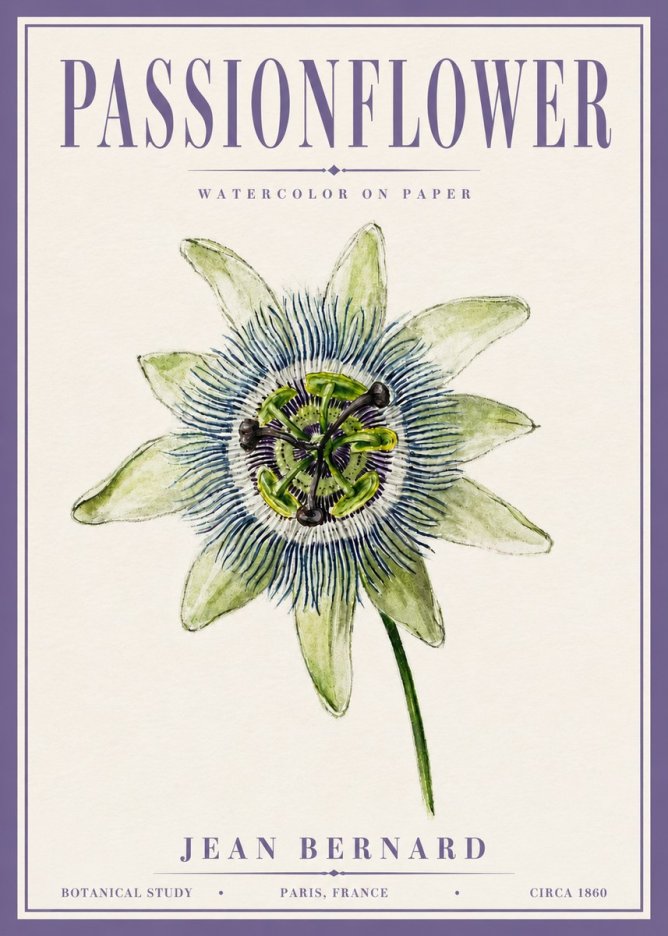 Jean Bernard Passionflower No6 - Poszter