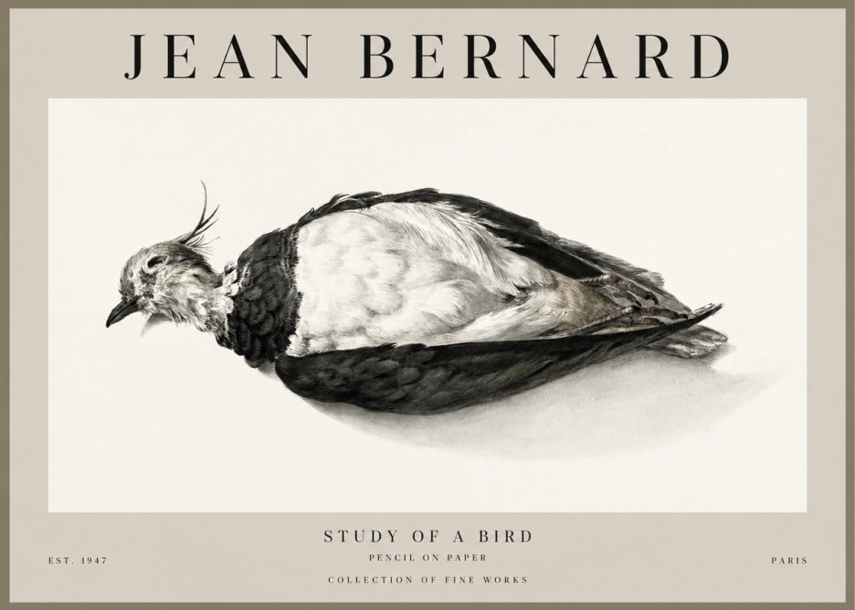 Jean Bernard Study of a Bird II No1 - Poszter