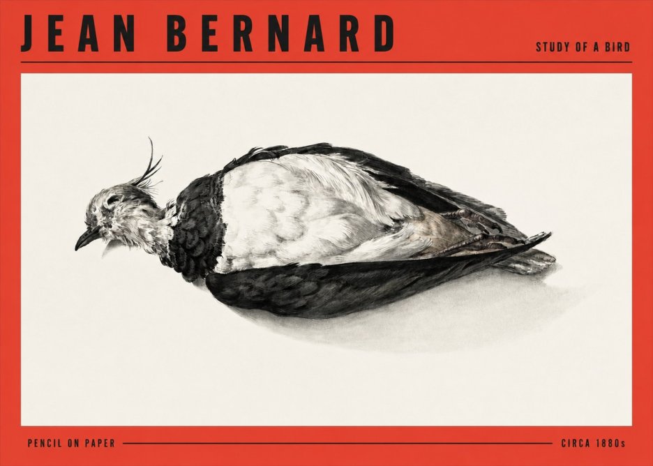 Jean Bernard Study of a Bird II No3 - Poszter