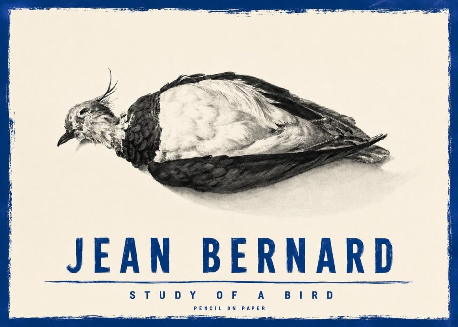 Jean Bernard Study of a Bird II No4 - Poszter