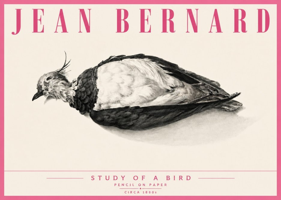 Jean Bernard Study of a Bird II No6 - Poszter