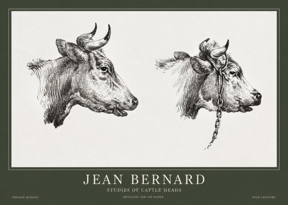 Jean Bernard Studies of Cattle Heads No1 - Poszter
