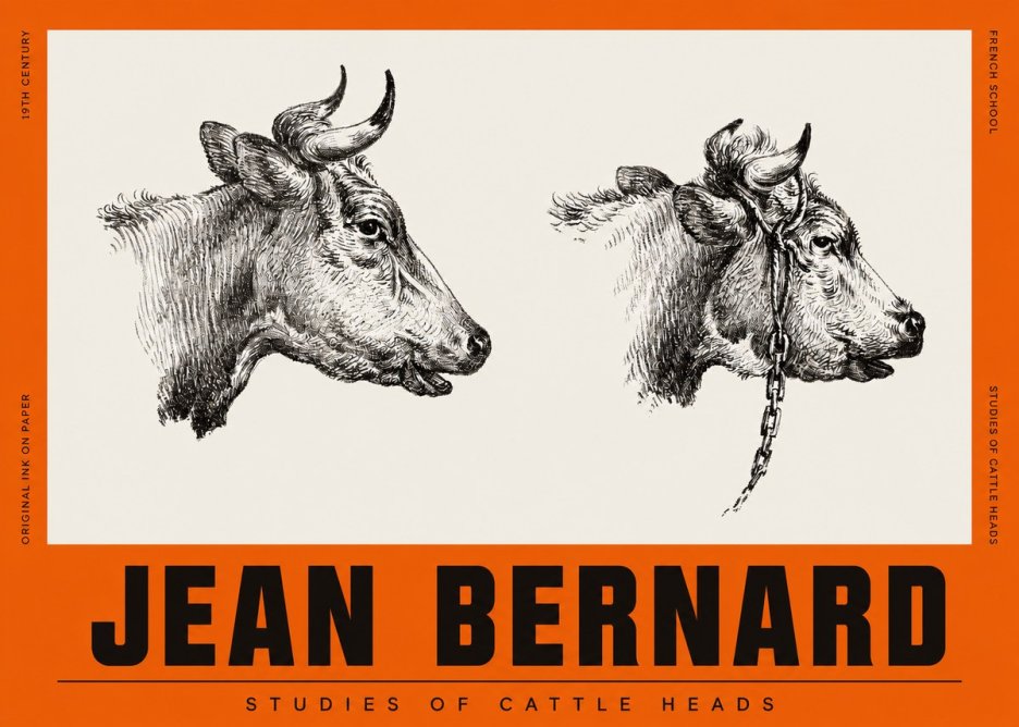 Jean Bernard Studies of Cattle Heads No2 - Poszter