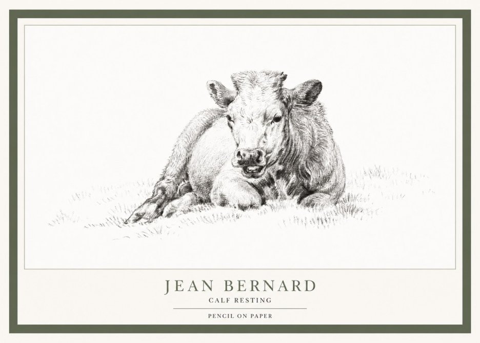 Jean Bernard Calf Resting No1 - Poszter