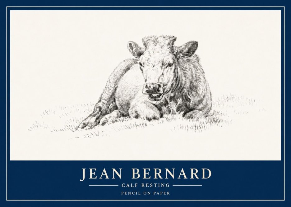 Jean Bernard Calf Resting No3 - Poszter