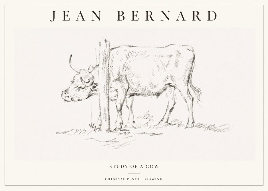 Jean Bernard Study of a Cow VII No1 - Poszter