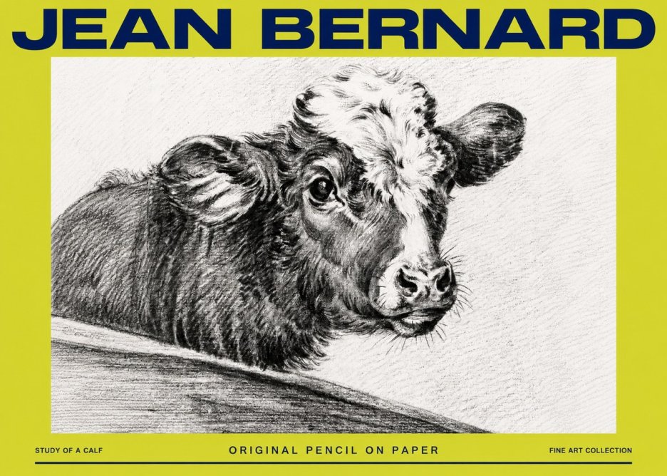 Jean Bernard Study of a Calf II No4 - Poszter
