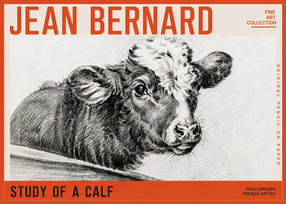 Jean Bernard Study of a Calf II No5 - Poszter