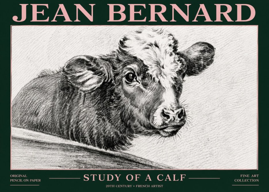Jean Bernard Study of a Calf II No6 - Poszter