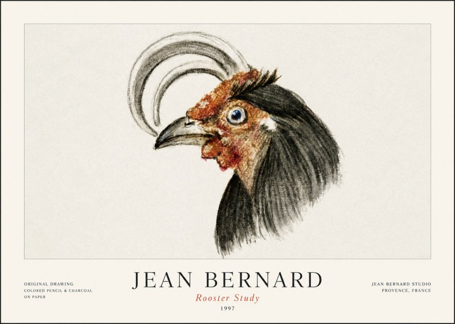 Jean Bernard Rooster Study No1 - Poszter
