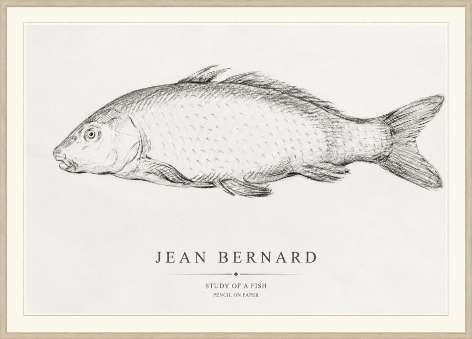 Jean Bernard Study of a Fish III No1 - Poszter