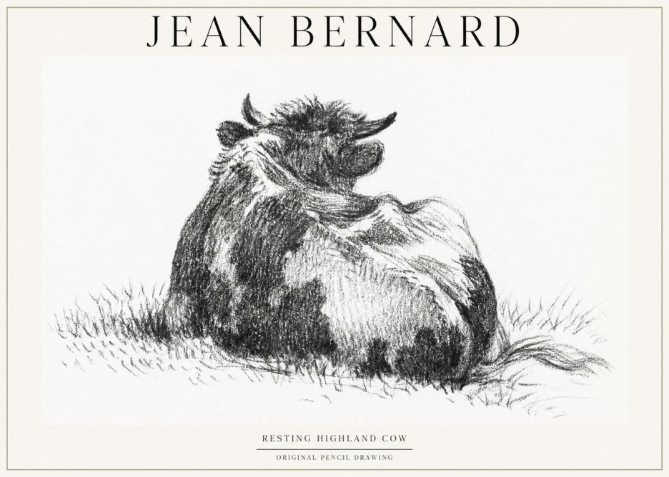 Jean Bernard Resting Highland Cow No1 - Poszter