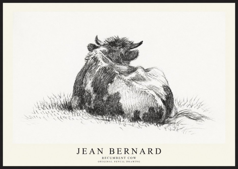 Jean Bernard Resting Highland Cow No3 - Poszter