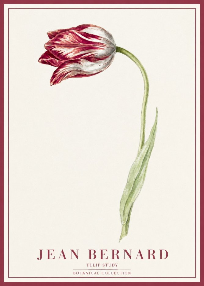 Jean Bernard Tulip Study No1 - Poszter