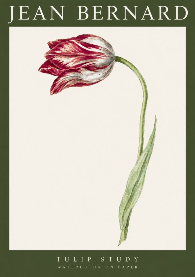 Jean Bernard Tulip Study No3 - Poszter