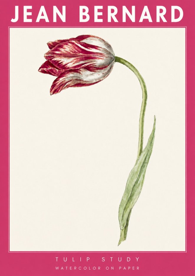 Jean Bernard Tulip Study No4 - Poszter