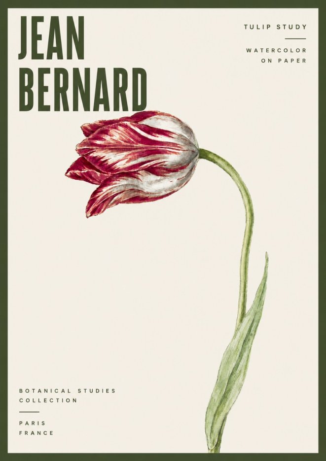 Jean Bernard Tulip Study No6 - Poszter