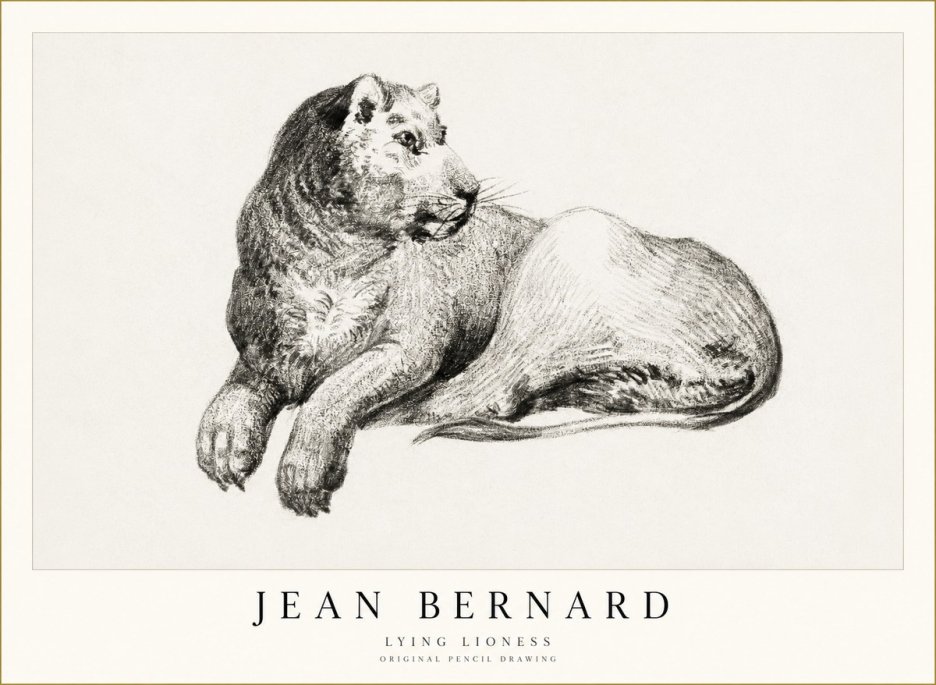 Jean Bernard Lying Lioness No1 - Poszter