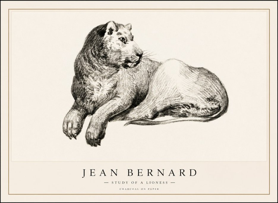Jean Bernard Lying Lioness No2 - Poszter