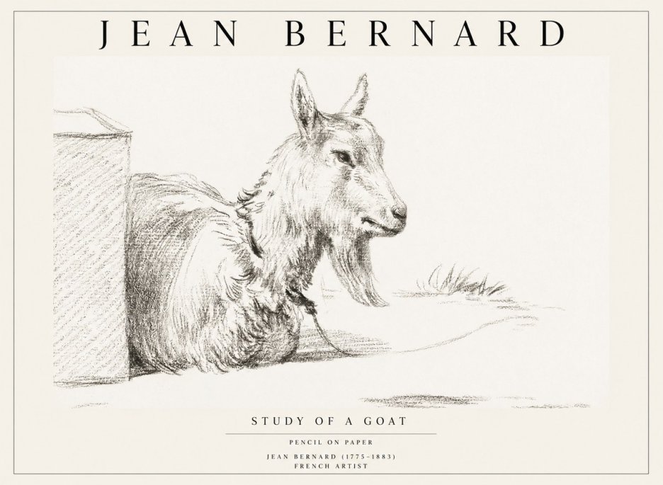 Jean Bernard Study of a Goat IV No1 - Poszter