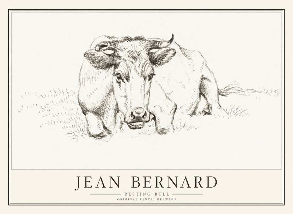 Jean Bernard Resting Cow II No4 - Poszter