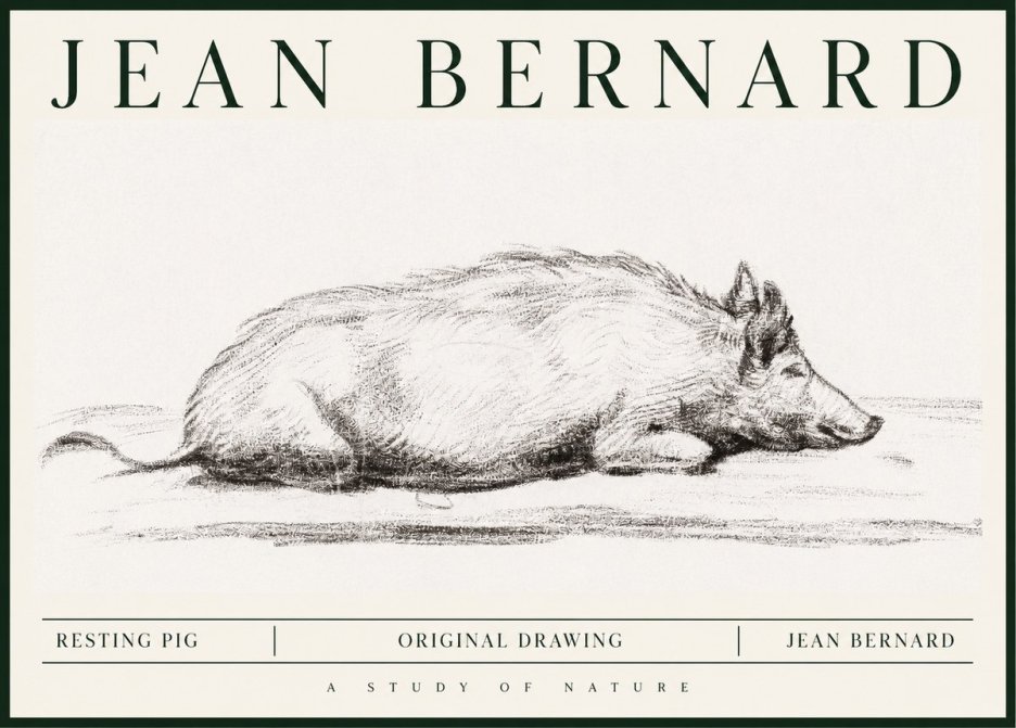 Jean Bernard Resting Pig I No1 - Poszter