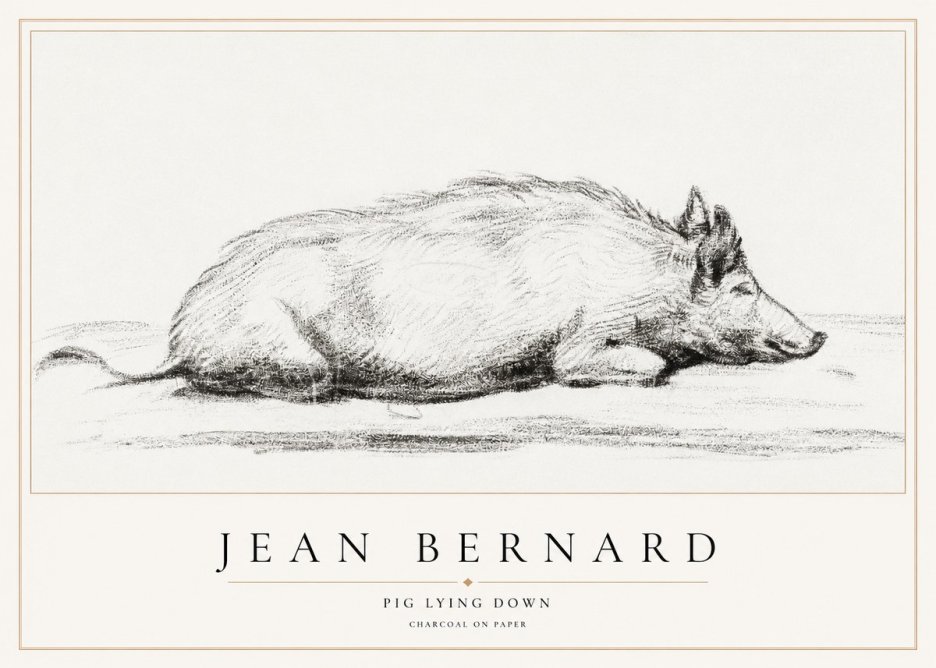 Jean Bernard Resting Pig I No2 - Poszter