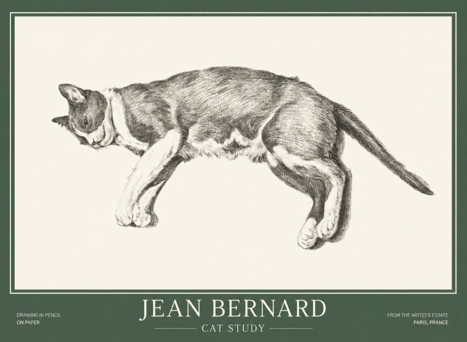 Jean Bernard Cat Study VII No1 - Poszter