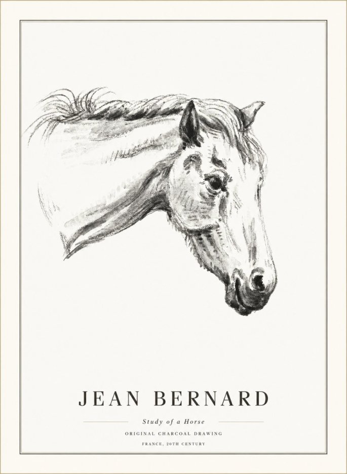 Jean Bernard Study of a Horse VIII No5 - Poszter