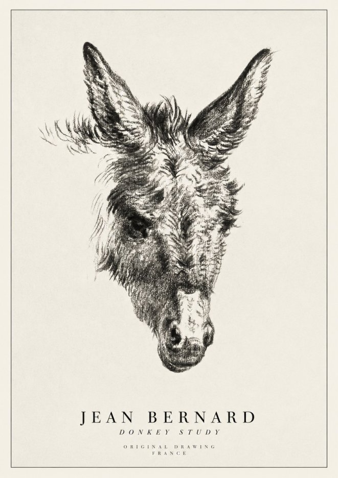 Jean Bernard Donkey Study IV No1 - Poszter