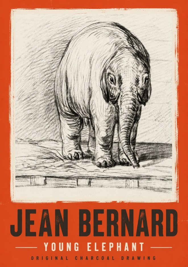 Jean Bernard Young Elephant No2 - Poszter