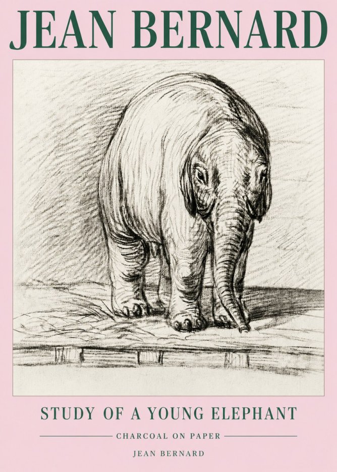 Jean Bernard Young Elephant No5 - Poszter