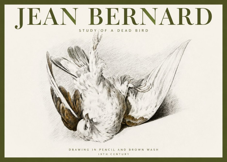 Jean Bernard Study of a Dead Bird No2 - Poszter