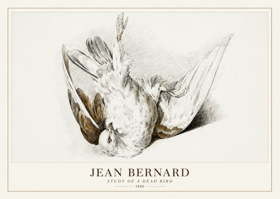 Jean Bernard Study of a Dead Bird No3 - Poszter