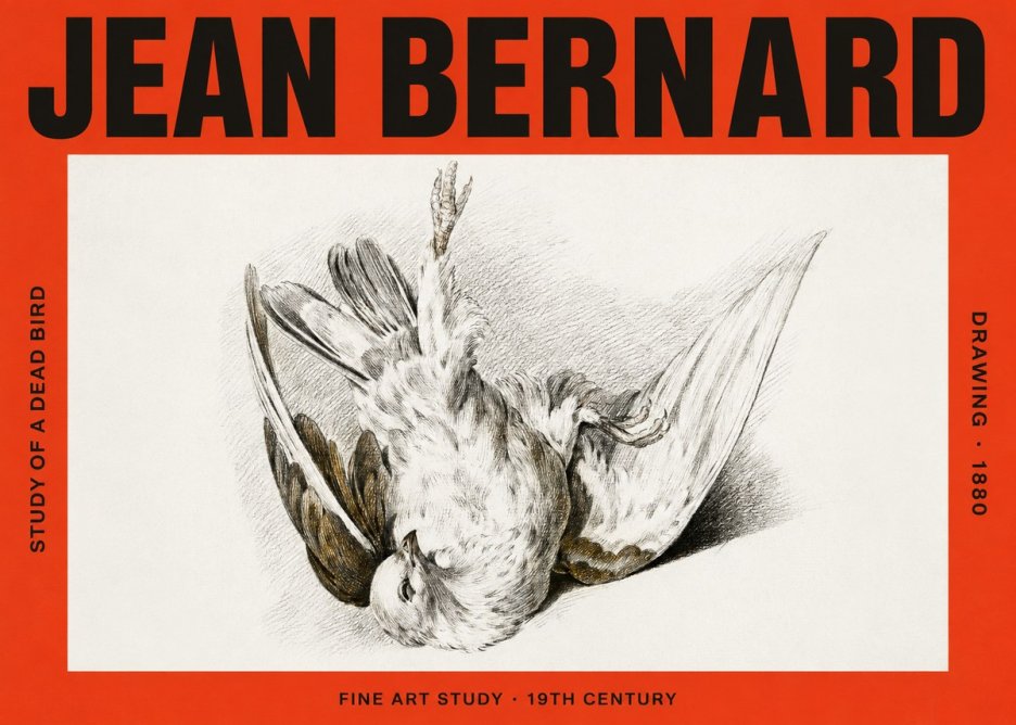 Jean Bernard Study of a Dead Bird No4 - Poszter