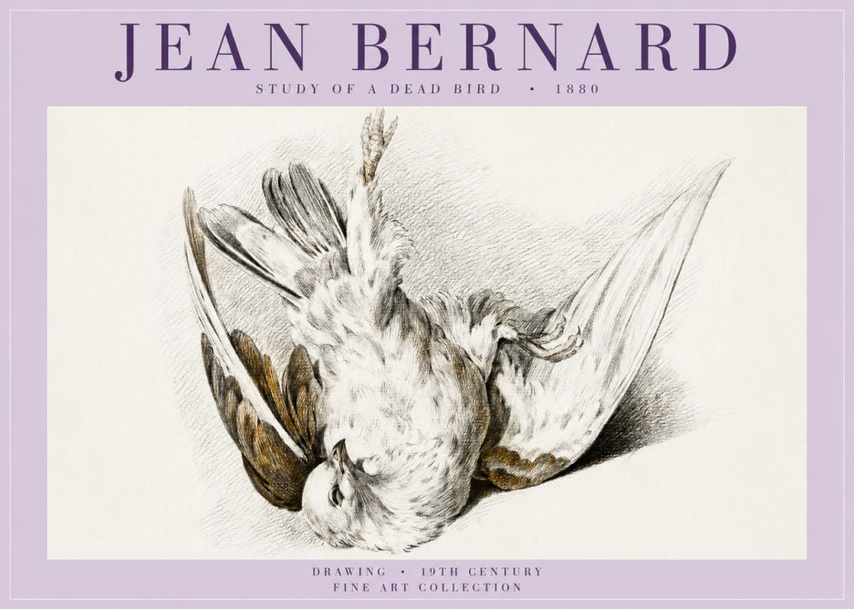 Jean Bernard Study of a Dead Bird No5 - Poszter
