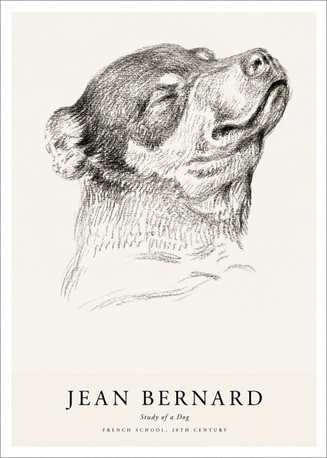 Jean Bernard Study of a Dog III No1 - Poszter