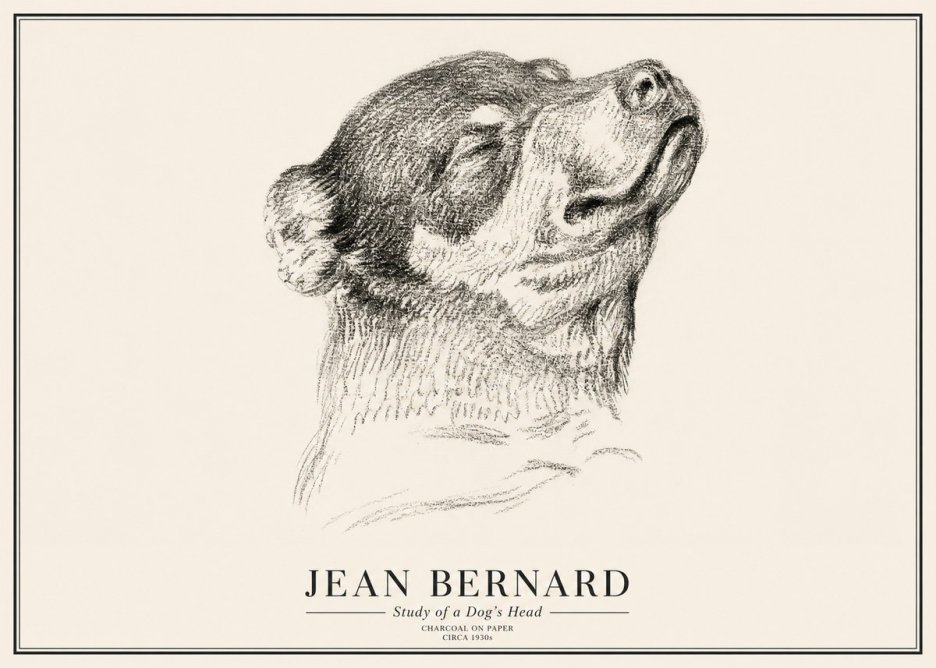 Jean Bernard Study of a Dog III No3 - Poszter