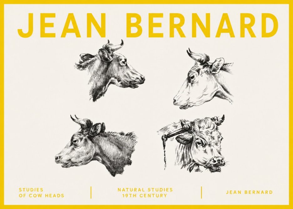 Jean Bernard Studies of Cattle - Four Heads No5 - Poszter